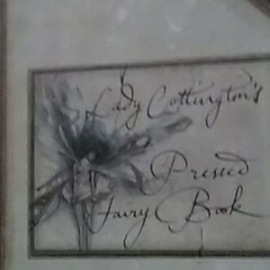 Fairy Book, LADY COTTINGTONS   VINTAGE